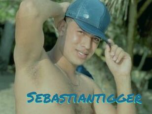 Sebastiantigger