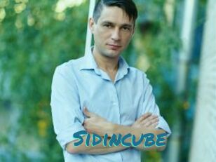 Sid_incube