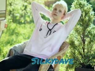 Silkydave