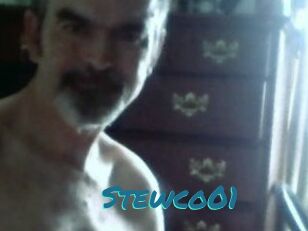 Stewco01