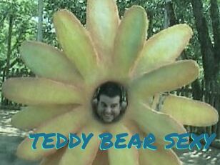 TEDDY_BEAR_SEXY