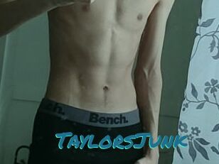 TaylorsJunk