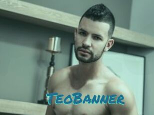 TeoBanner