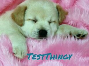 TestThingy