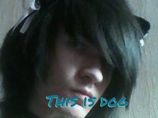 This_is_dog