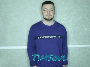 TimSoul