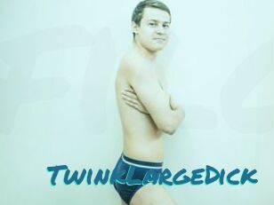 TwinkLargeDick