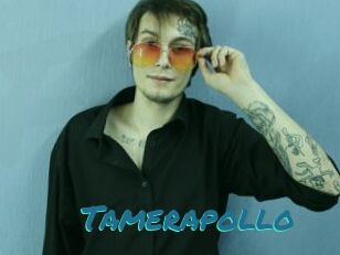Tamerapollo