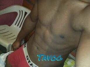 Tavog