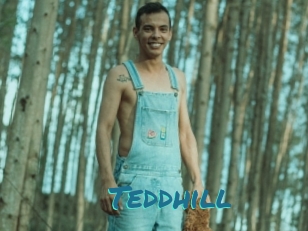 Teddhill