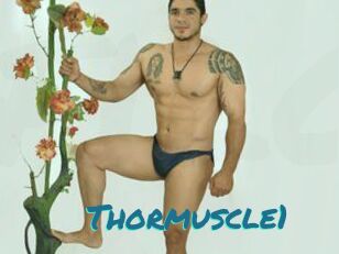 Thormuscle1