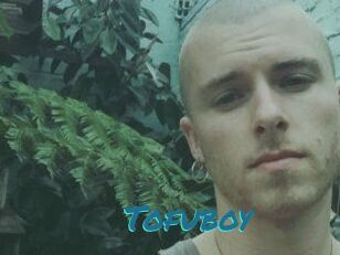Tofu_boy