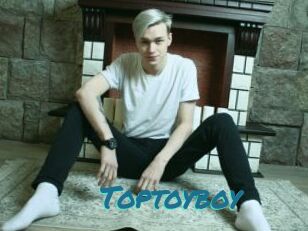 Toptoyboy