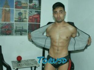 Torusd