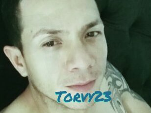 Torvy23
