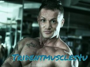 Tridentmuscles4u