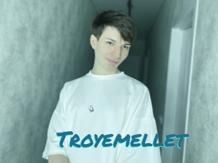 troyemellet Films Gay