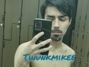 Twunkmikee