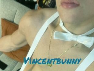 Vincentbunny
