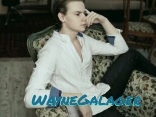 WayneGalager