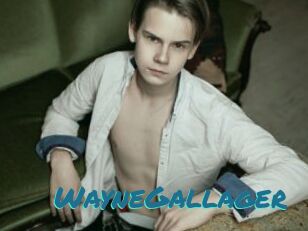 WayneGallager