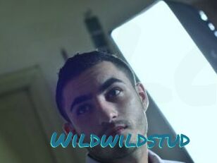 Wildwildstud