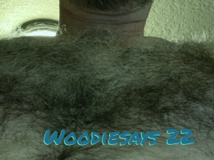 Woodiesays_22