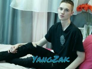 YangZak