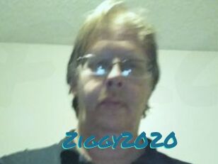 Ziggy2020
