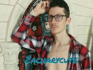 Zacharycute