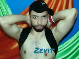 Zevit